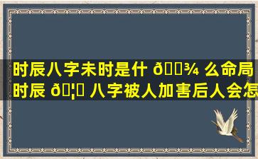 时辰八字未时是什 🌾 么命局（时辰 🦍 八字被人加害后人会怎样）